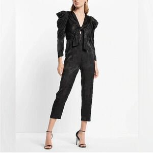 NWOT Express Jacquard Floral Tie Front Jumpsuit